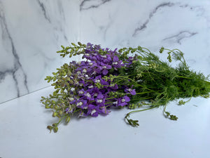 Larkspur-lavender