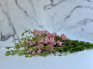 
            
                Load image into Gallery viewer, Larkspur-Pink
            
        