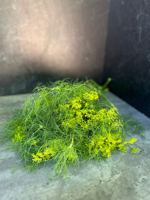 Dill Foliage