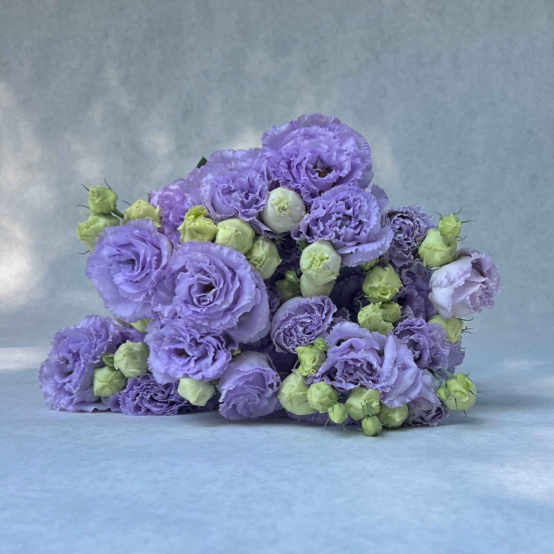 Lisianthus-Lavender Ruffles