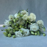 Lisianthus-White