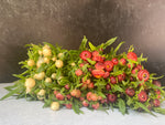 Strawflower-Mix - SMFF Wholesale