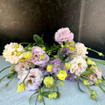 Lisianthus - Lavender