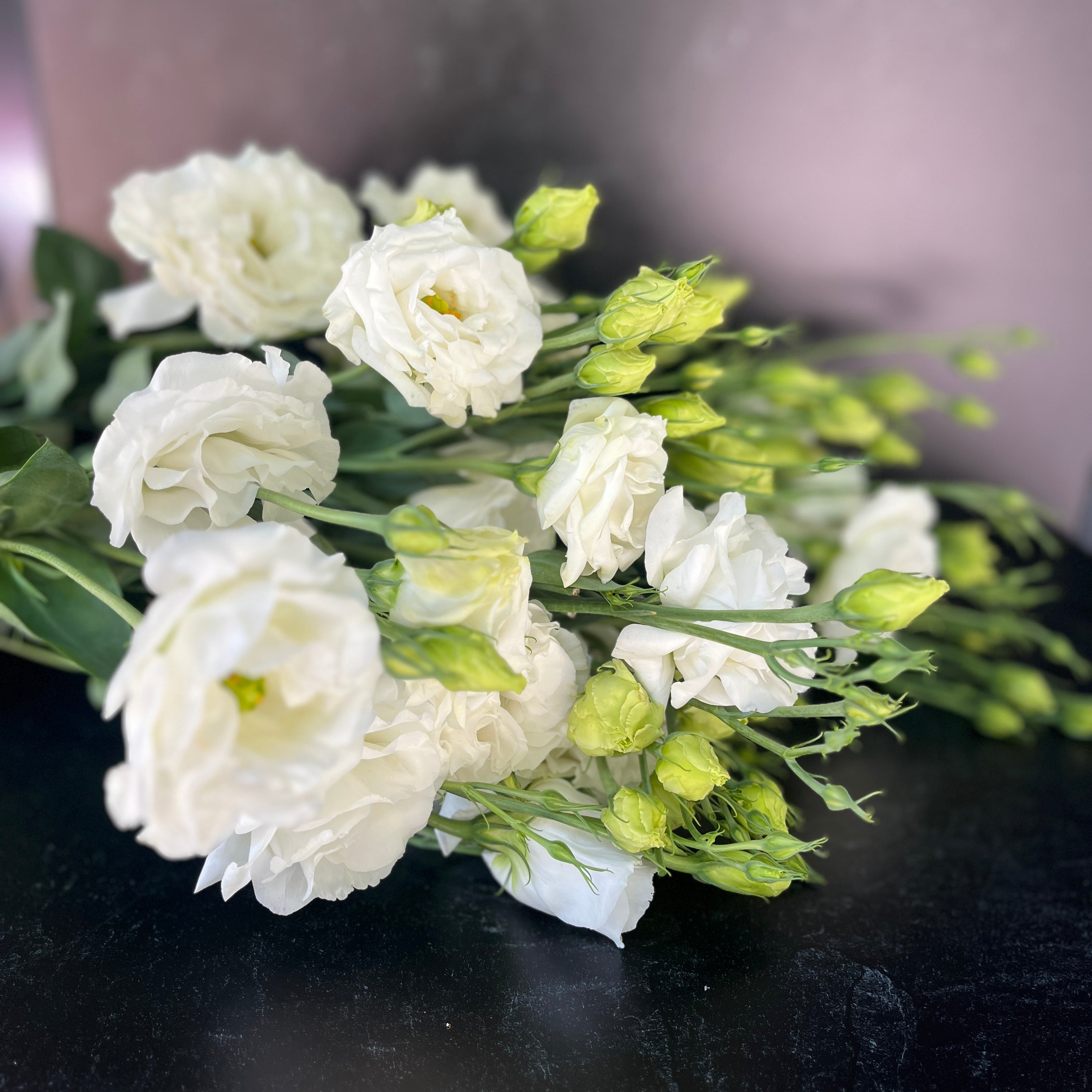 Lisianthus-White Ruffles (Voyage or Celeb)