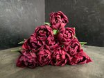 Tulip-Alison Bradley - SMFF Wholesale
