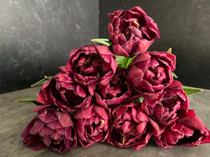 Tulip-Alison Bradley
