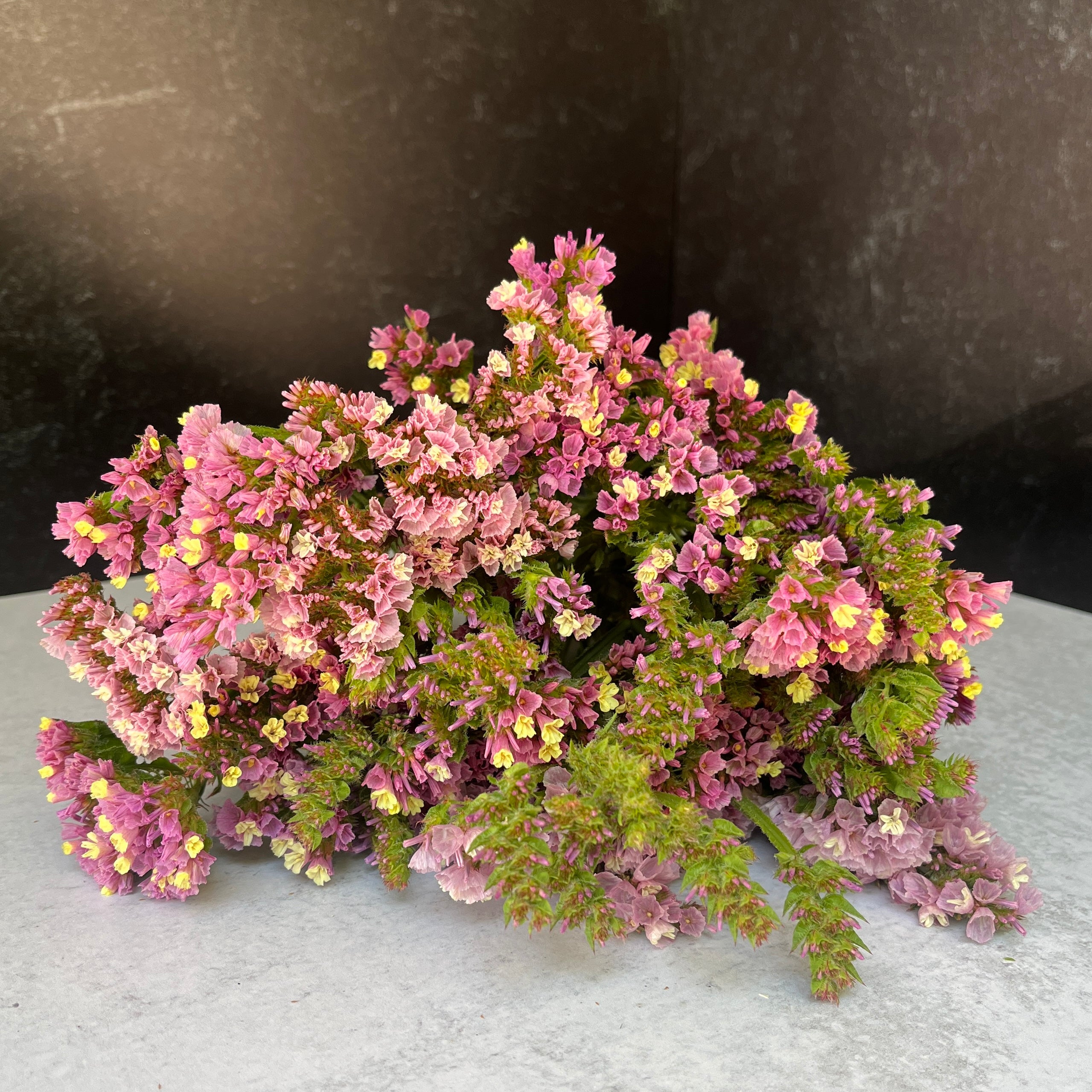 Statice-Lavender Rose