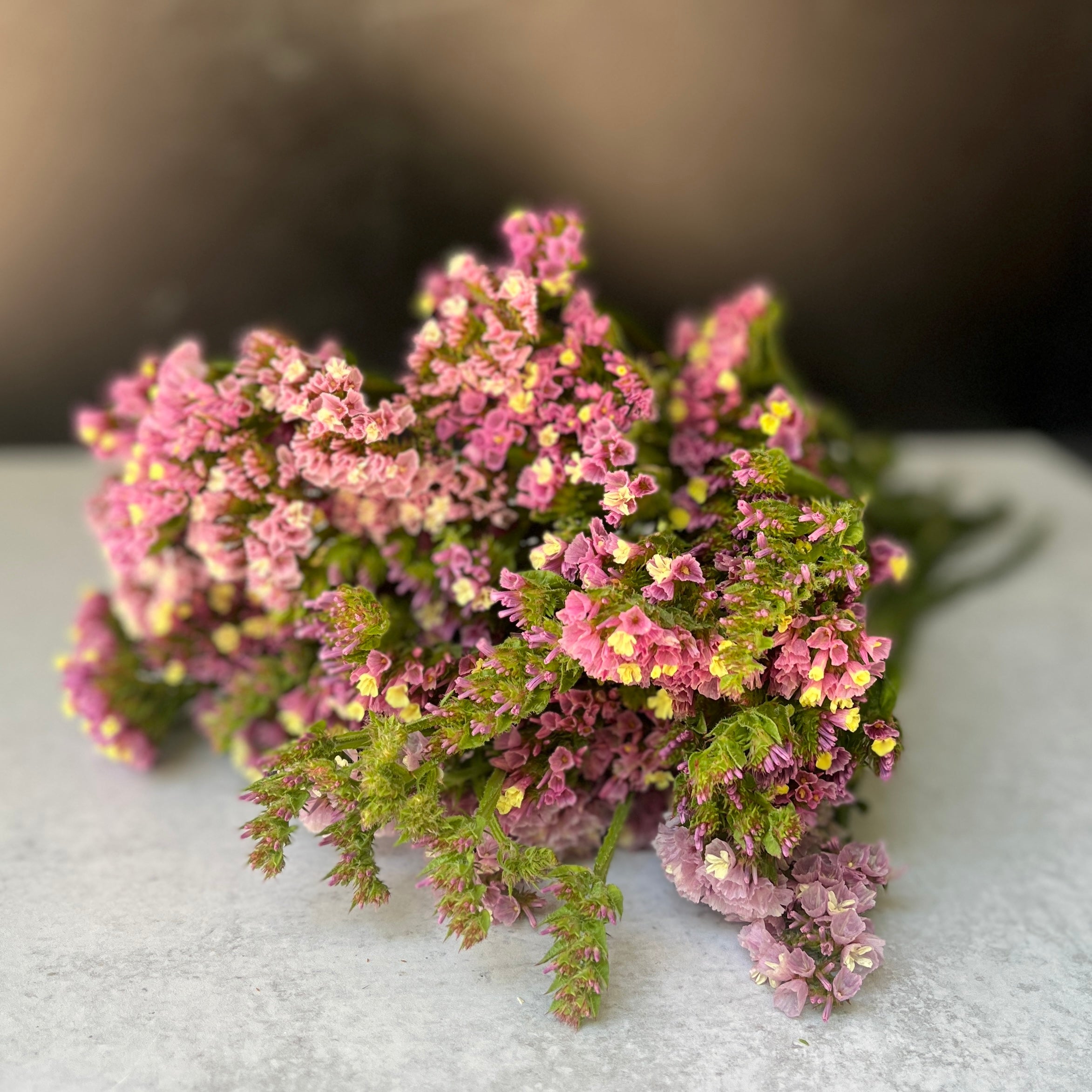 Statice-Lavender Rose