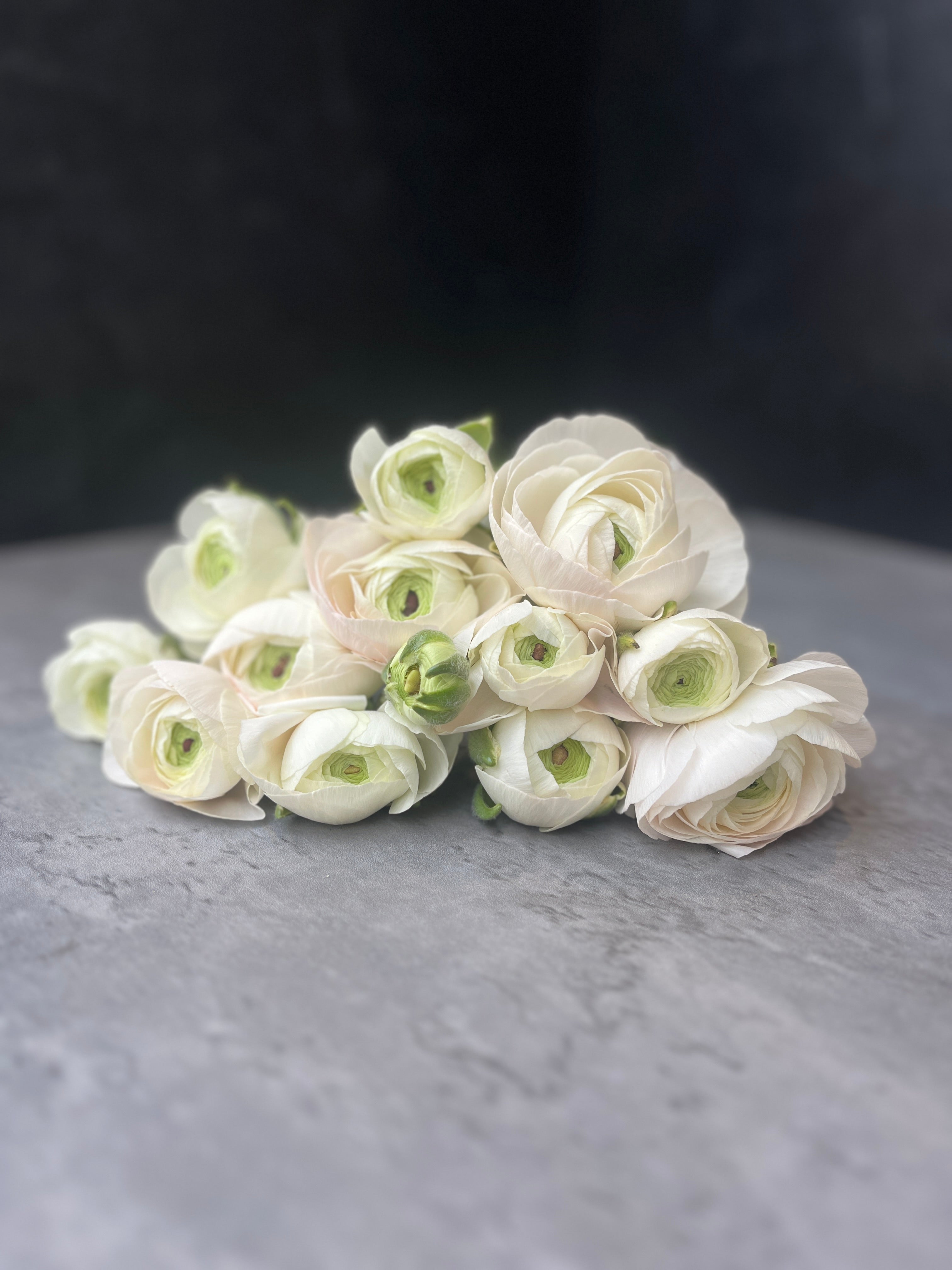 Ranunculus Cloni-Hanoi