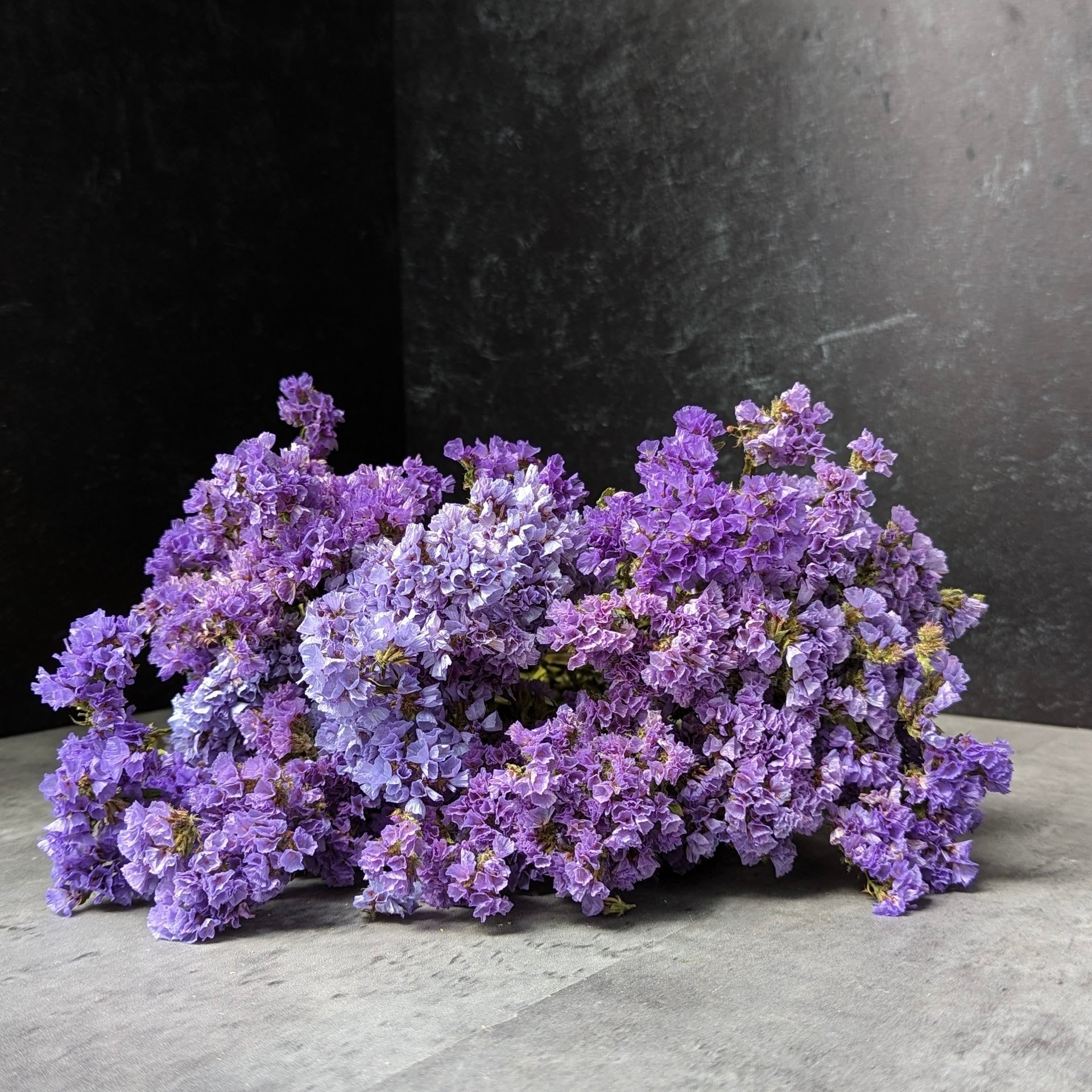 Dried Flowers-Statice Purple/Blue