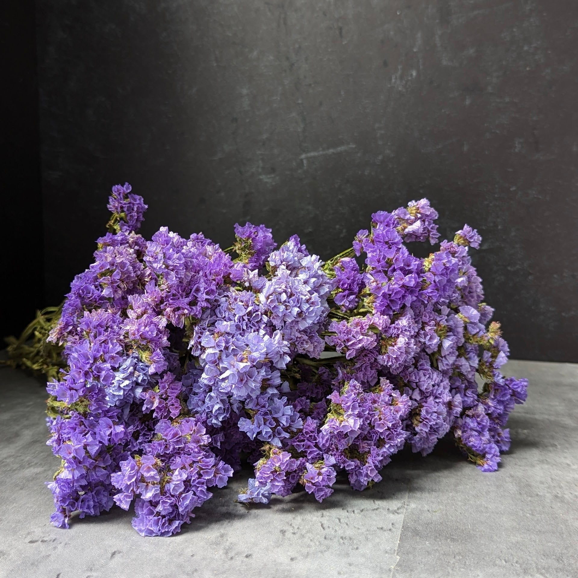 Dried Flowers-Statice Purple/Blue