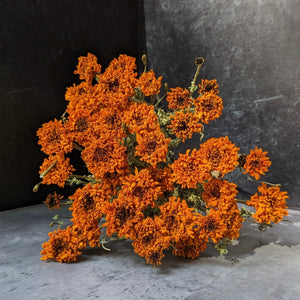Dried Flowers-Marigold Orange