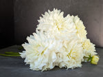 Dahlia Medium-Beaucon