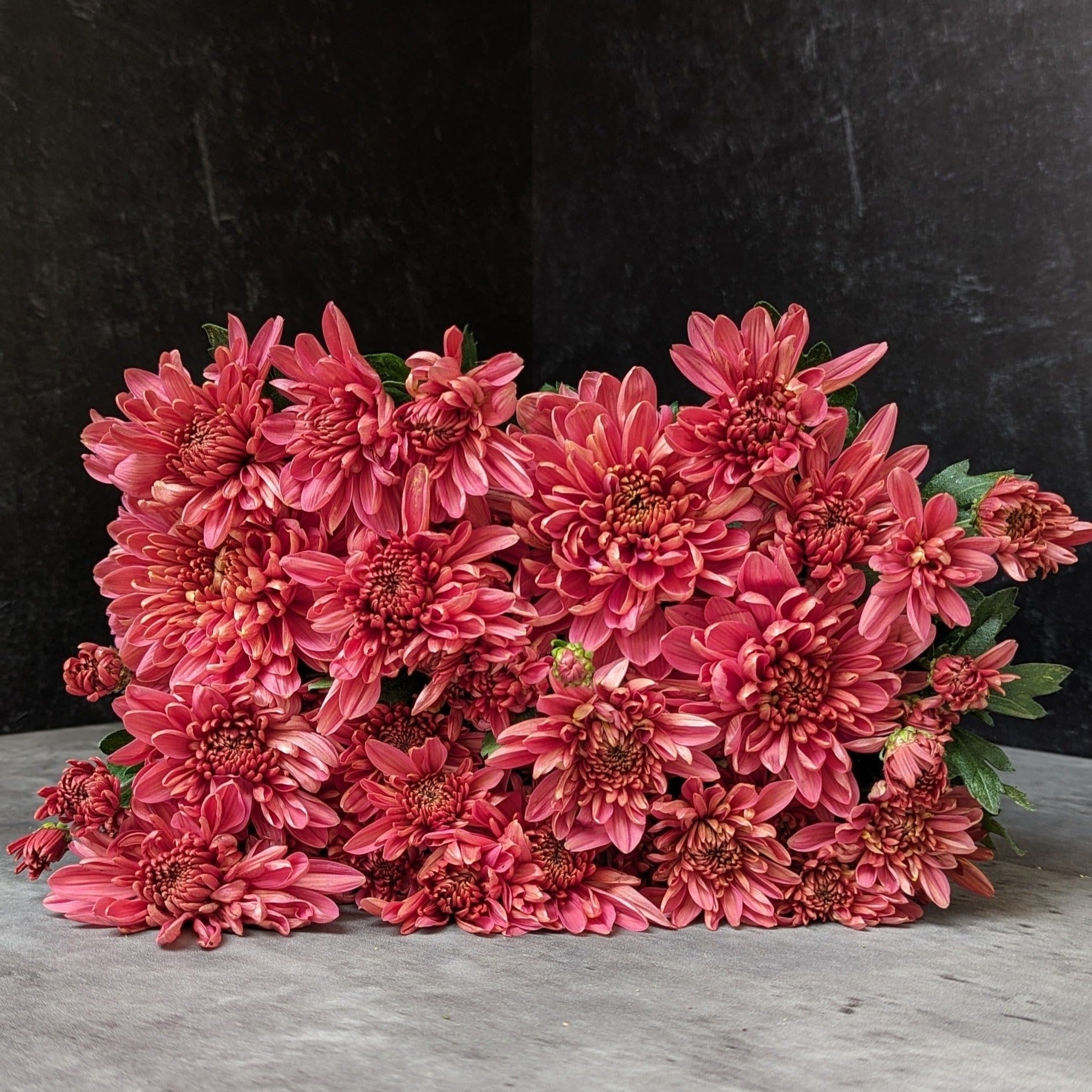 Heirloom Mum Spray-Coral Charm