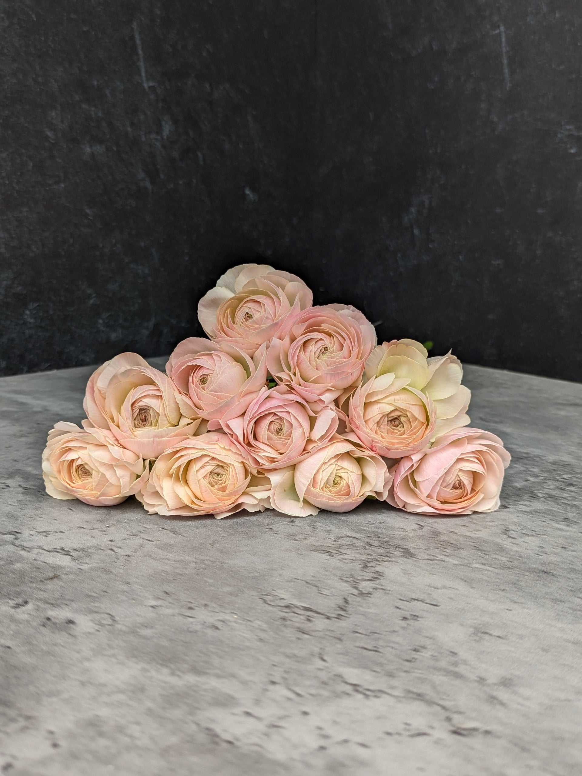 Ranunculus Specialty Romance-Maritime