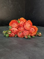 Ranunculus Specialty Romance-Orange