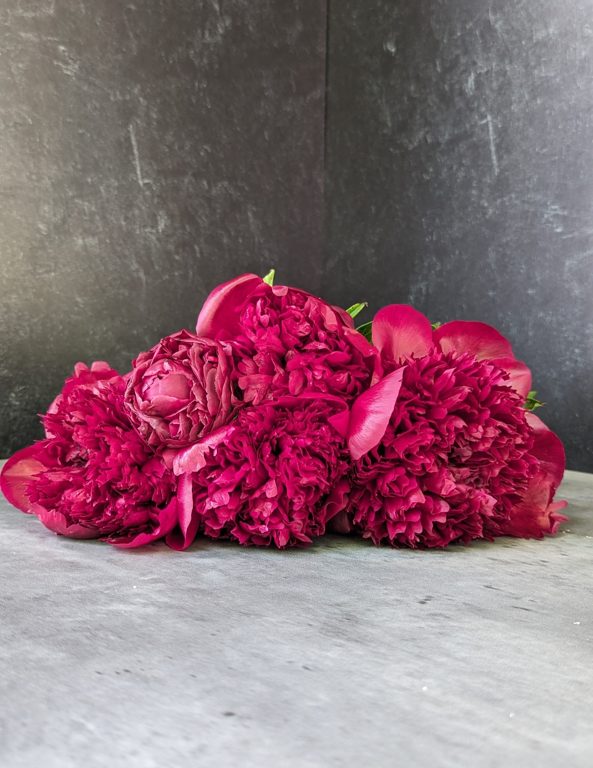 Peony-Red