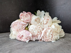 Peony-Blush