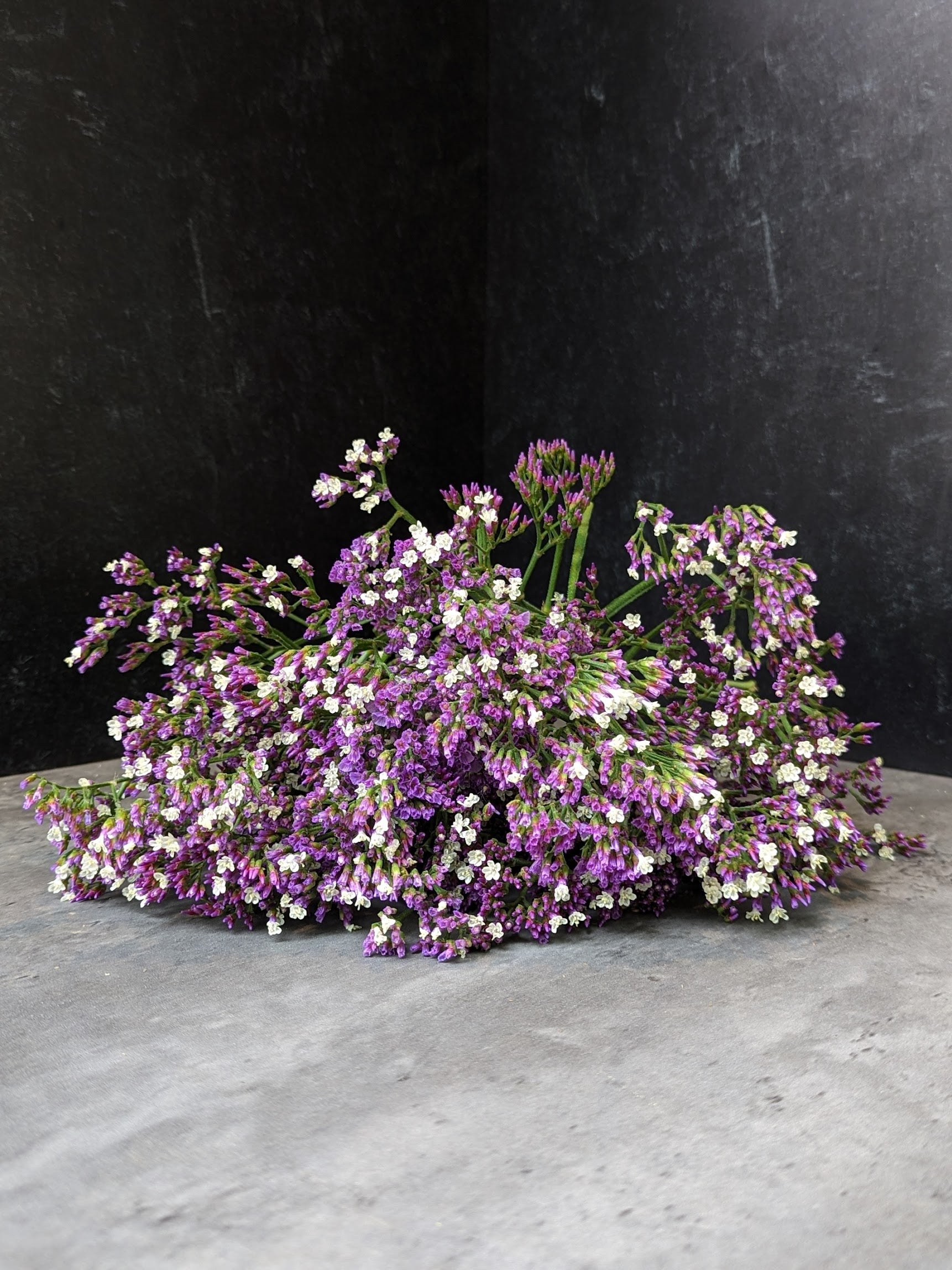 Statice Limonium-Purple