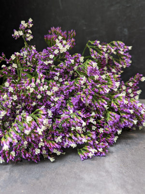 Statice Limonium-Purple