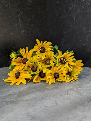 Rudbeckia-Yellow