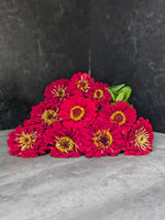 Zinnia-Red