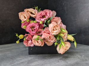 Lisianthus-Apricot