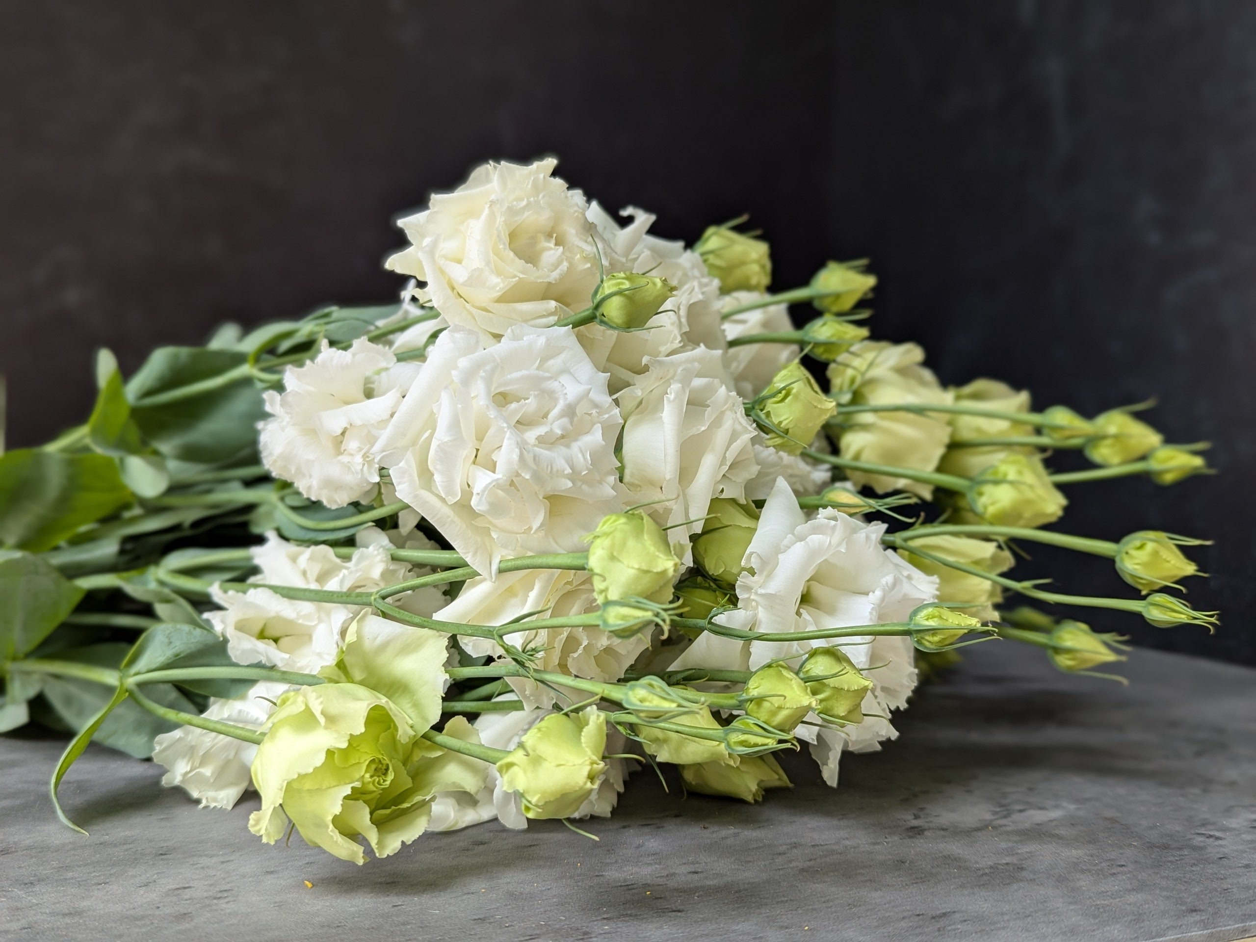 Lisianthus-White Ruffles