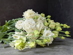 Lisianthus-White