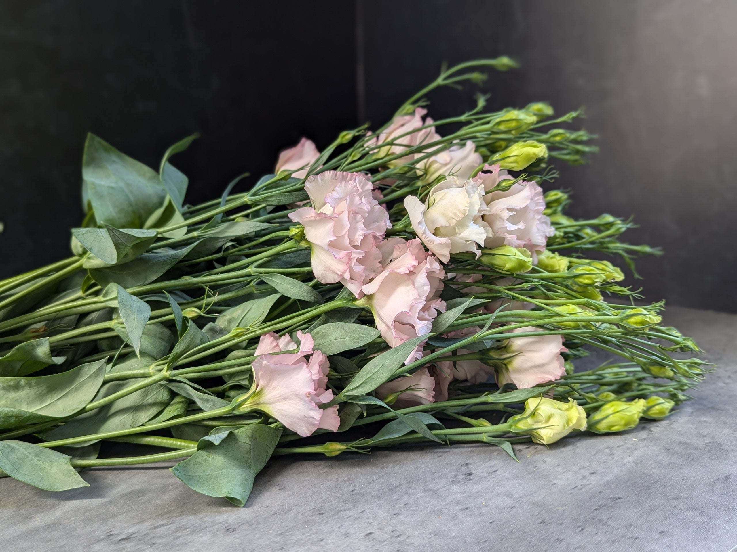 Lisianthus-Espirit Light Pink