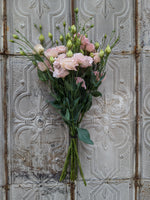 Lisianthus-Light Pink