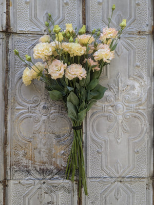 Lisianthus-Peach Bellini