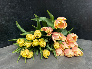 Tulip-Mango Charm