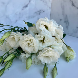Lisianthus-White