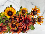 Rudbeckia-Sahara