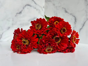 
            
                Load image into Gallery viewer, Zinnia-Red
            
        