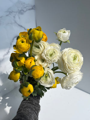 
            
                Load image into Gallery viewer, Ranunculus-Any
            
        