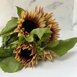 Sunflower-Plum