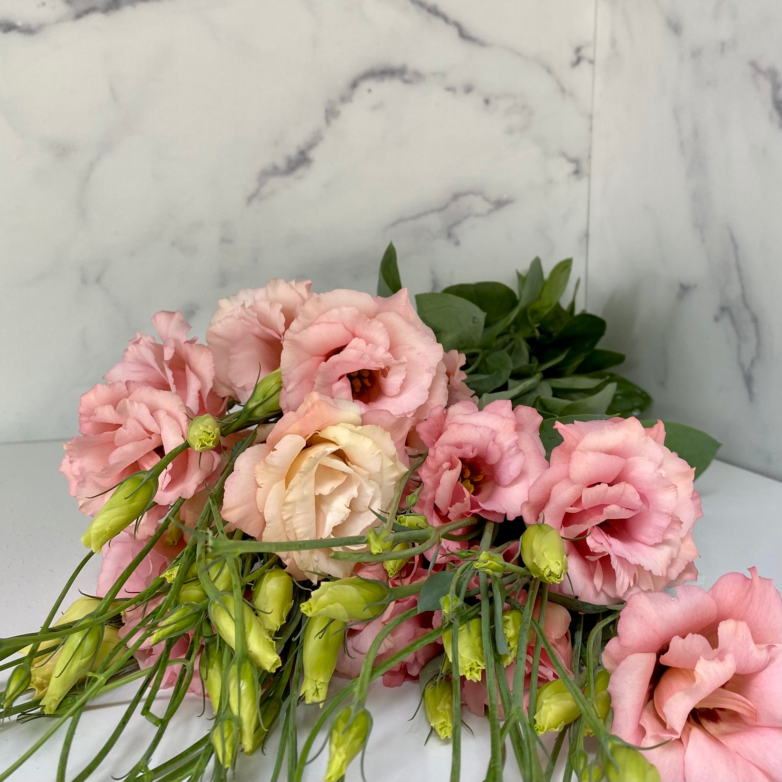 Lisianthus-Apricot