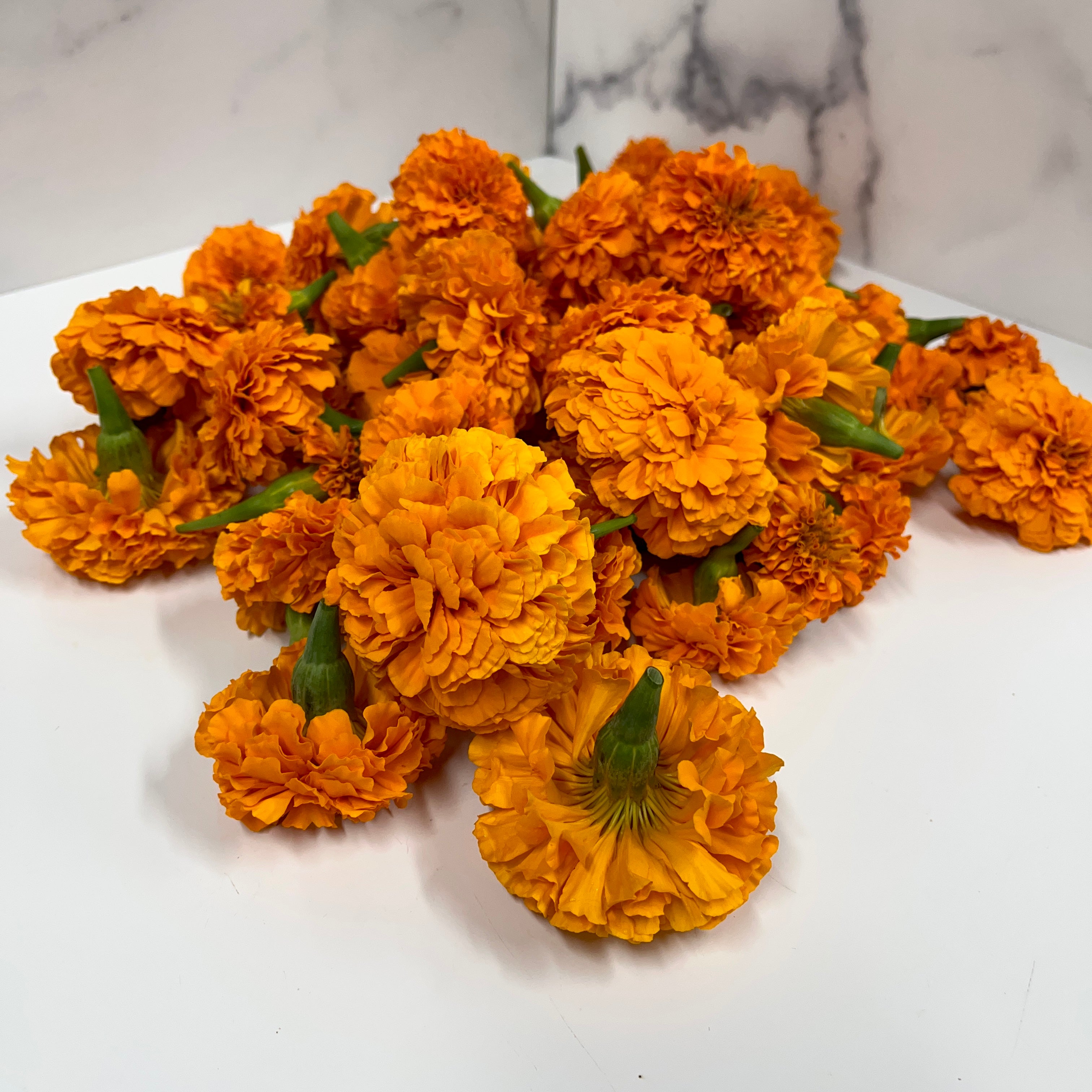 Marigold Heads Only-Orange