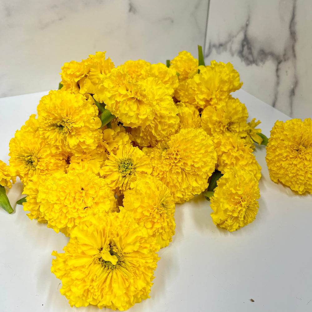 Marigold Heads-Yellow