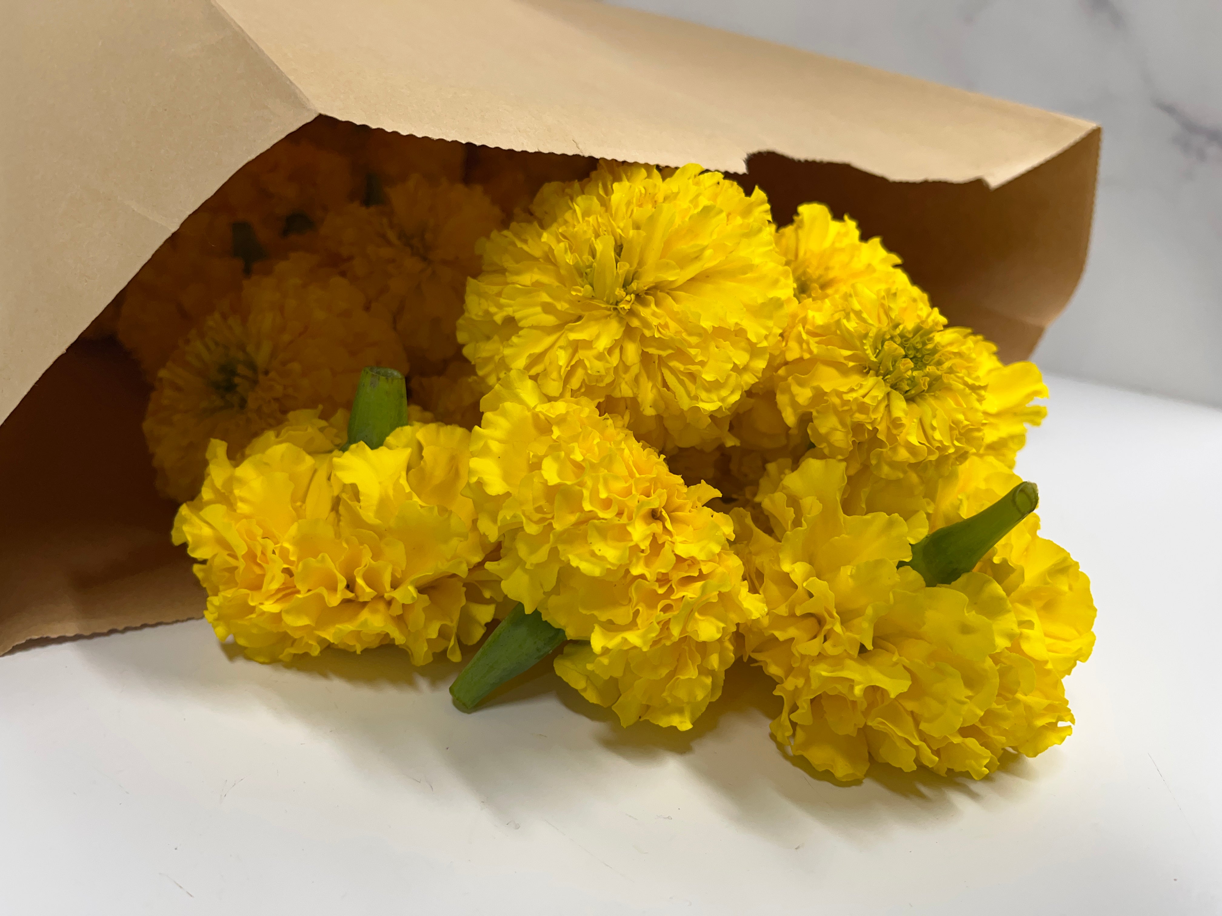 Marigold Heads Only-Yellow