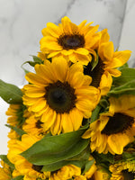 Sunflower-Mini