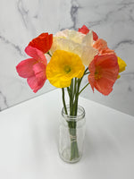 Poppy-Mix