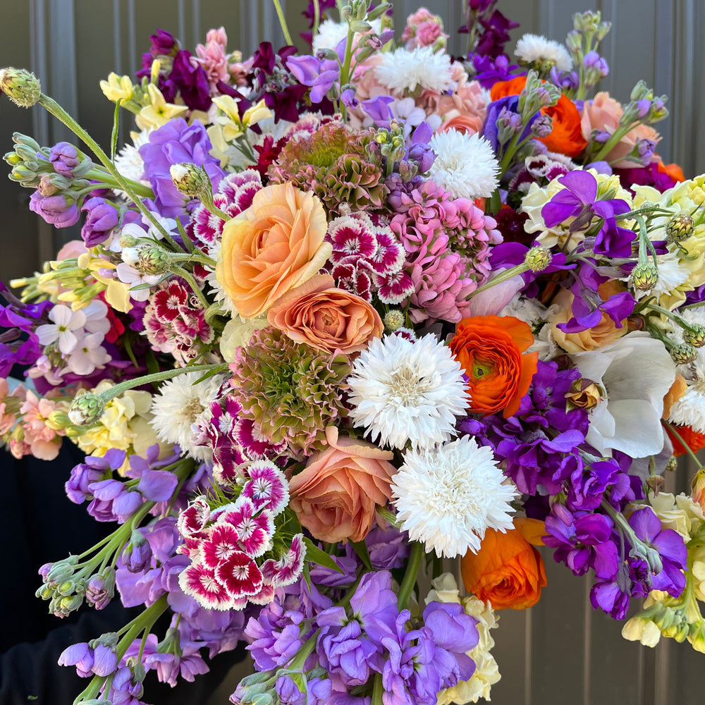 
            
                Load image into Gallery viewer, Seasonal Mixed Bouquet-by the case
            
        