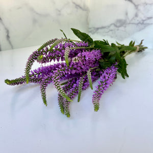 Veronica-Lavender
