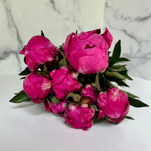 Peony-Raspberry/Fuchsia