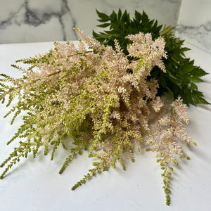
            
                Load image into Gallery viewer, Astilbe-Peach Blossom
            
        