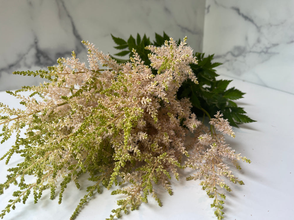 
            
                Load image into Gallery viewer, Astilbe-Peach Blossom
            
        