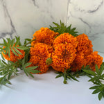 Marigolds Bulk with Stem-Orange